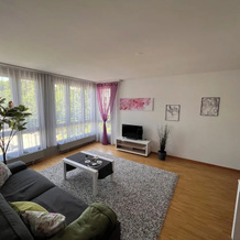 Herisau Apartments, Herisau — photo 3