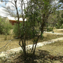 Enkolong Tented Camp, Кикорок — фото 2