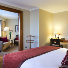 Crowne Plaza Amsterdam Schiphol, 霍夫多普 — 照片 4