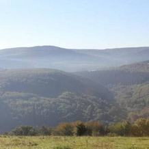 Parkschenke Simon, Нонвайлер — фото 2