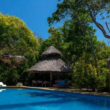 Firefly Ocean Camp, Shimoni — photo 4