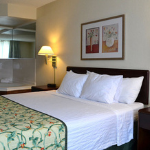 Holiday Inn Spartanburg Northwest, Spartanburg — photo 4