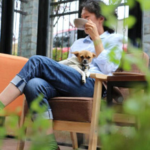 58 Inn Lijiang, Лицзян — фото 5