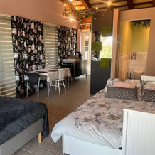 Room in Studio - Studio Apartment With Kitchen in one Room, Tezze sul Brenta — photo 3