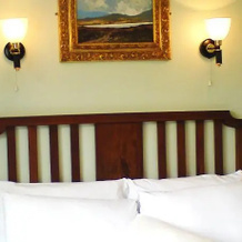 Barrow Lodge B&B, 卡洛郡 — 照片 2