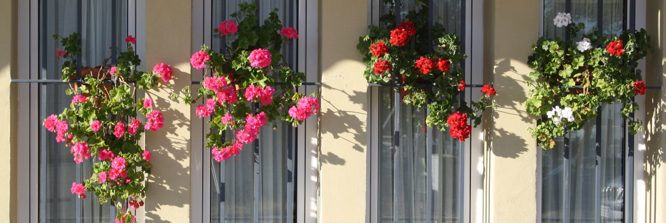 Hotel Lince, Aznalcazar — photo 1