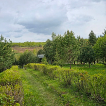 V Bolshoy Gorodne Private house, 船长角 — 照片 4