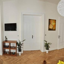 Luxury Apartment Novobranska, 布尔诺 — 照片 4