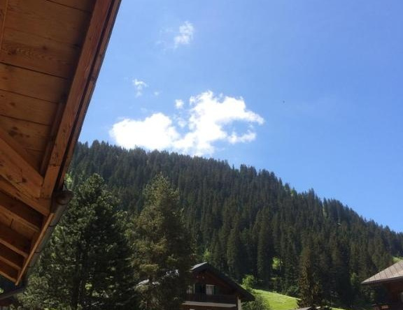 La Providence, Morgins — photo 1