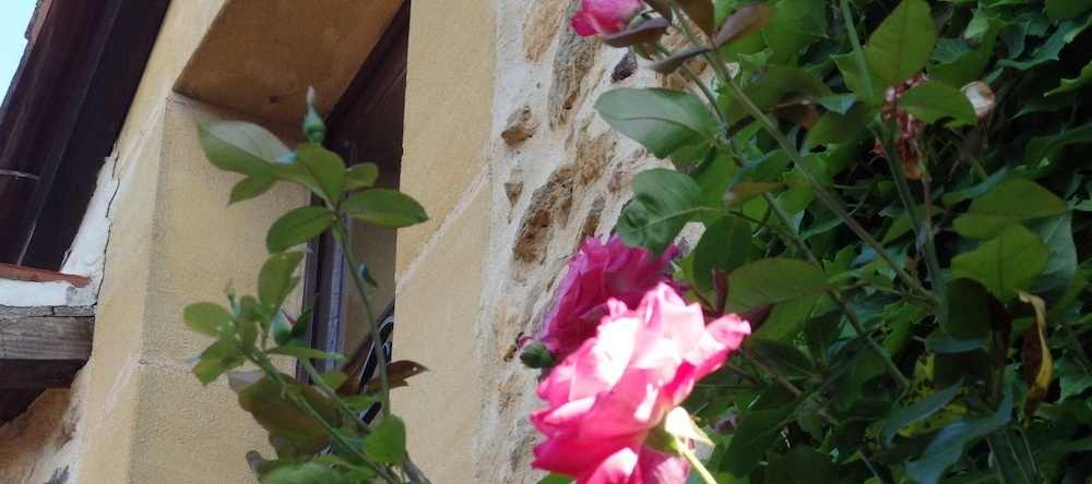 Bouillatou, Saint-Avit-Riviere — photo 1