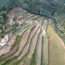 Quinta De Varzielas - Agroturismo, Кастело-де-Пайва — фото 5