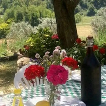Red Door Cottage, Monte Roberto — photo 3