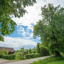Agroturystyka Pod Lipą, Ostrowiec Swietokrzyski — photo 2