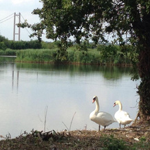 Marshlands Lakeside Nature Retreat, 巴顿-亨伯河畔 — 照片 5