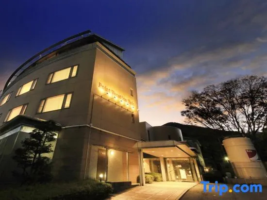 Point Vacation Yunoyama Onsen, Komono — photo 1