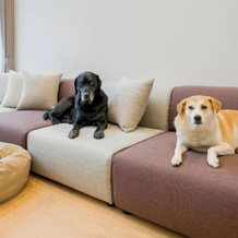 Rakuten STAY VILLA Yatsugatake, 北斗 — 照片 5