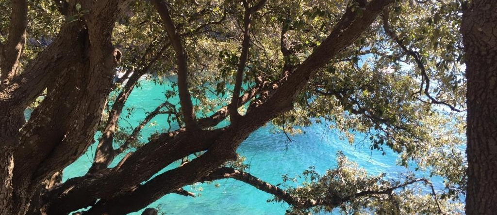 Infinity view, Vernazza — photo 1