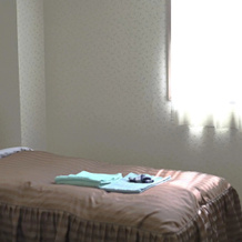 Daiichi Business Hotel Takeso, 西尾 — 照片 4