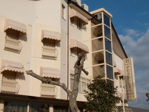 Hotel Peselli, Масса — фото 1