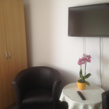 Gasthof & Pension Zum Saalestrand, 巴特迪伦贝格 — 照片 2