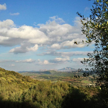 Agriturismo Stazzi La China, Луогосанто — фото 5