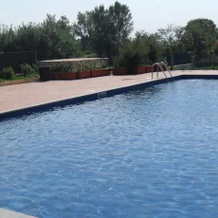 Casa Vacanza Gli Scoiattoli, 圣波蒂托桑尼蒂科 — 照片 3