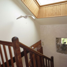 Gîte Des Oiseaux (Pha102), Плуа — фото 4