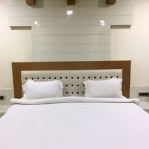 Hotel Aryan Inn Lalitpur, Лалитпур — фото 3