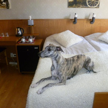 Sankt Olof Hotell & Krog, 马隆 — 照片 3