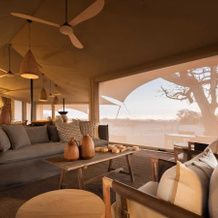 Wilderness Desert Rhino Camp, 帕姆瓦格保护区 — 照片 2