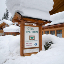 Hotel Waldheim Resort & Spa, 萨尔诺尼科 — 照片 2