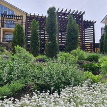 Гостевой Дом Abrau Soul&Spa, Абрау-Дюрсо — фото 3