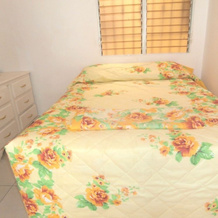 Aparthotel Familiar, 东圣多明各 — 照片 4