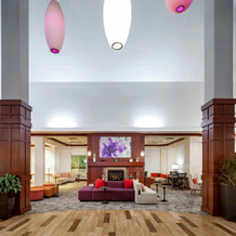 Hilton Garden Inn Chicago OHare Airport, Des Plaines — photo 4