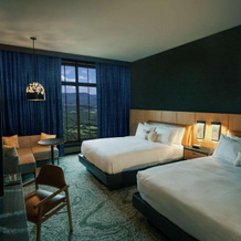 Cloudland At McLemore Resort Lookout Mountain, Curio by Hilton, 瑞辛福恩 — 照片 5