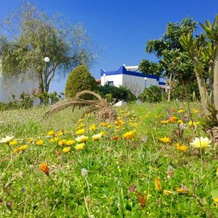 My House Bodrum Holiday Village, 居米什吕克 — 照片 4