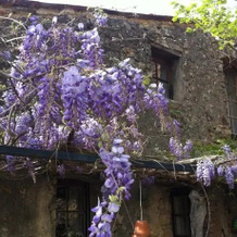17Th Century Provencal Farm House, Антркасто — фото 3
