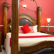 Casa Tianna Guest Apartments, 康斯坦特斯普林 — 照片 5
