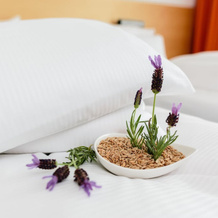 Best Western Hotel am Schlosspark, Niederwiesa — photo 4