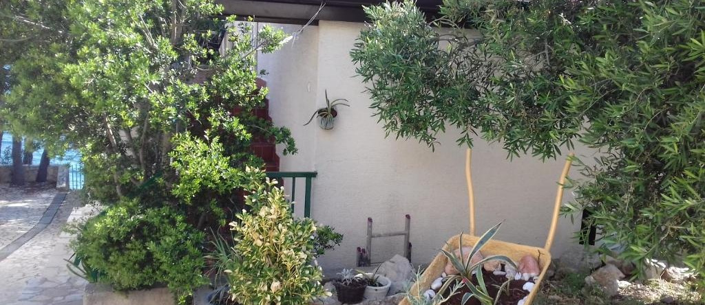 Apartments Dunja Hvar, 伊万多拉茨 — 照片 1
