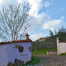 Nurazzolas, Villaputzu — photo 3