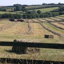 Hill Farm B&B, 比明斯特 — 照片 3