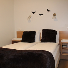 Lónið Apartments, Hofn — photo 5