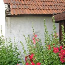 Hemmesåker Bed &Breakfast, Smygehamn — photo 5