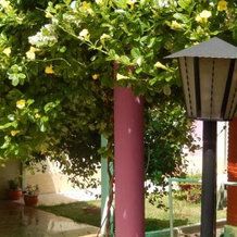 Hotel Villerejo, Abadiania — photo 5