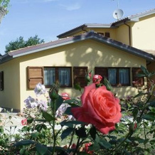 Country House La Madonnina, 塞尼加利亚 — 照片 3