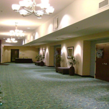 Holiday Inn St. Louis Fairview Heights By Ihg, Фэйрвью-Хайтс — фото 3