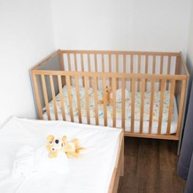 Familienhotel Trebesingerhof, 格明德 — 照片 3