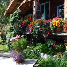 Brigitte's Bavarian Bed und Breakfast, 卡切马克 — 照片 3