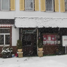 Hotel Athena Palace, Alpirsbach — photo 5